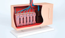 免费ddos攻击网页端